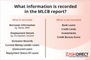 What Information Is Recorded in the MLCB Report?